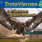 El aguila real 2